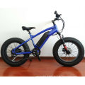 Alloy Frame Carbon Fiber Painting Full Suspension 26 * 4.8 Fat Tire Electric Bike